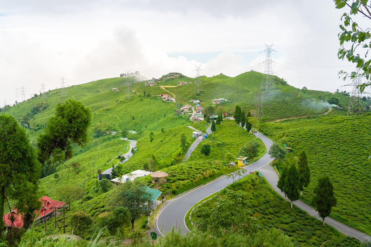 Explore lush green landscapes and winding roads in a serene tea plantation setting.